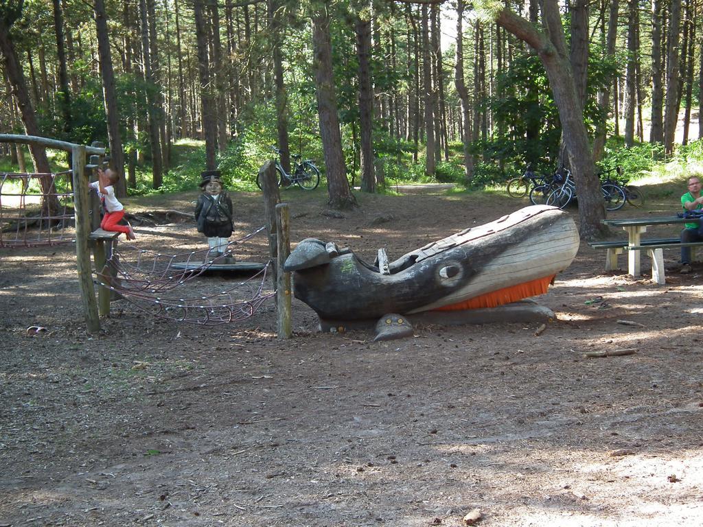 Hollumerstrand 홀륌 객실 사진