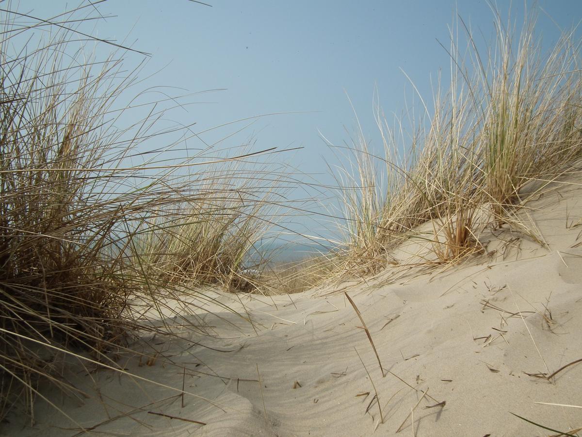 Hollumerstrand 홀륌 외부 사진